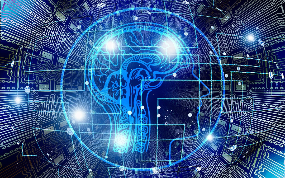 Virtual head with digital brain and circuits